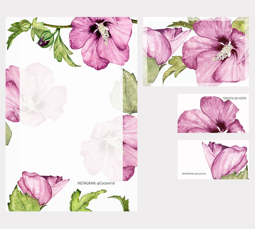 Mi Proyecto del curso: Hibiscus 0