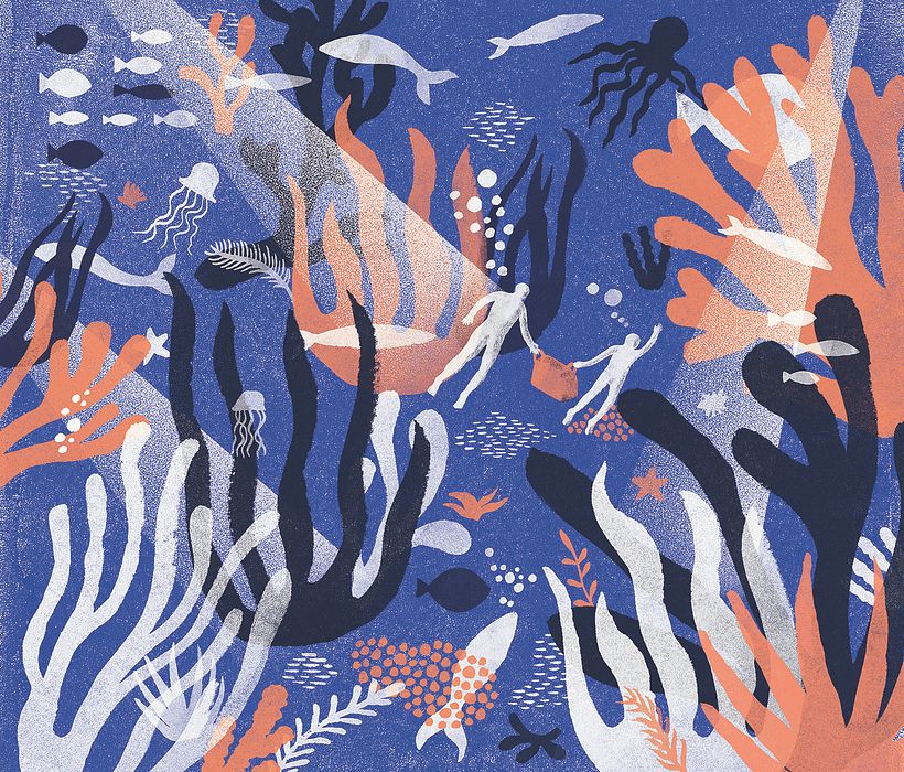Ilustraciones Libro Luna Sandía 1