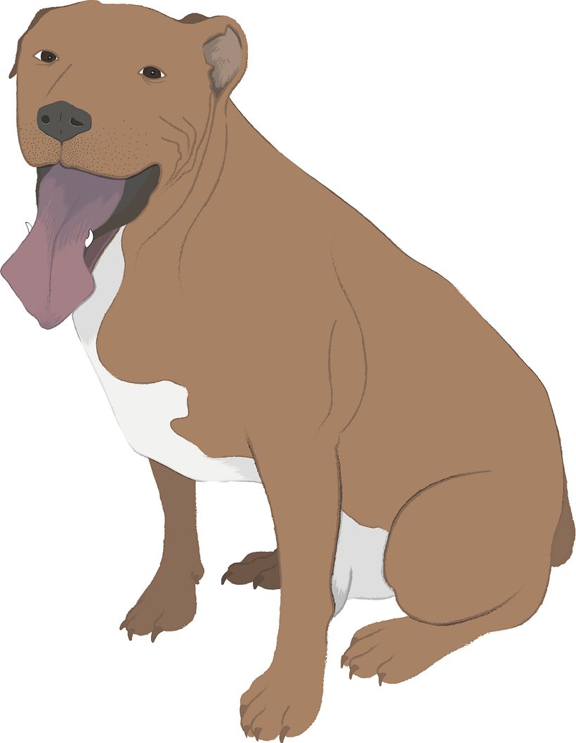 ENCARGOS CON AMOR - Dibujo Personalizado "LOVING ANIMALS!" 0