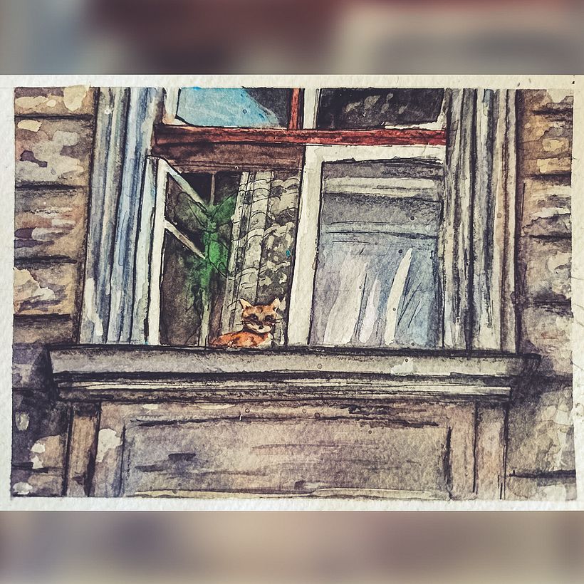 "Cats of Odessa" - Part 1