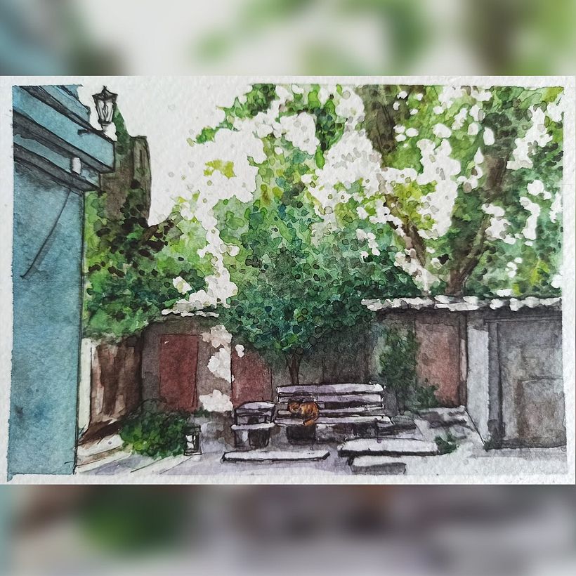 "Cats of Odessa" - Part 2