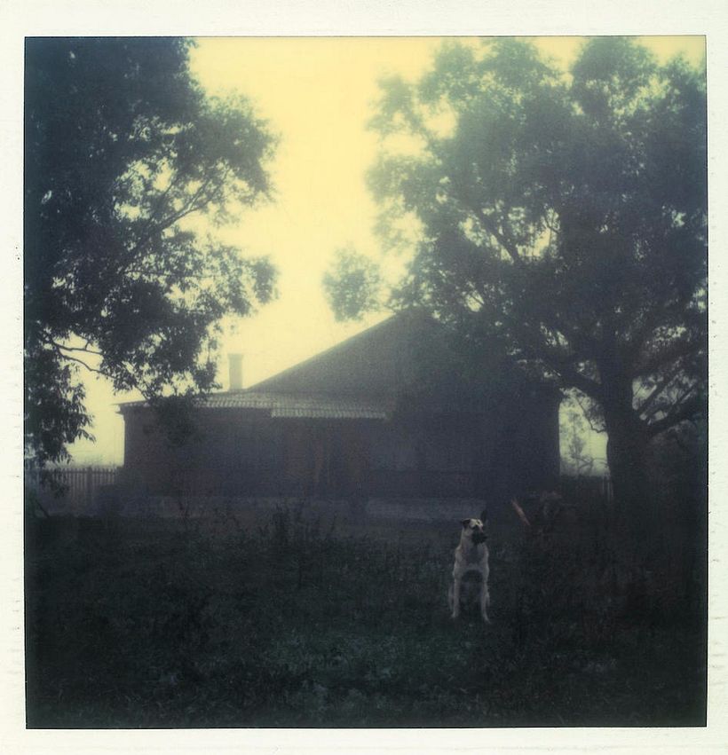 Andrei Tarkovsky