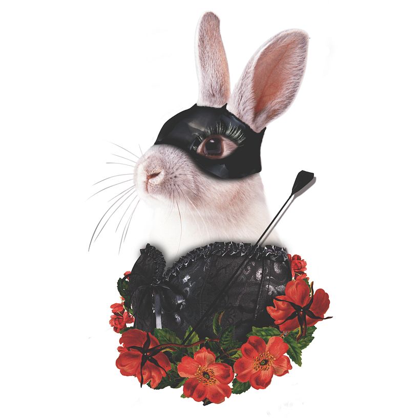 Digital Collage: Teresa Cucala
