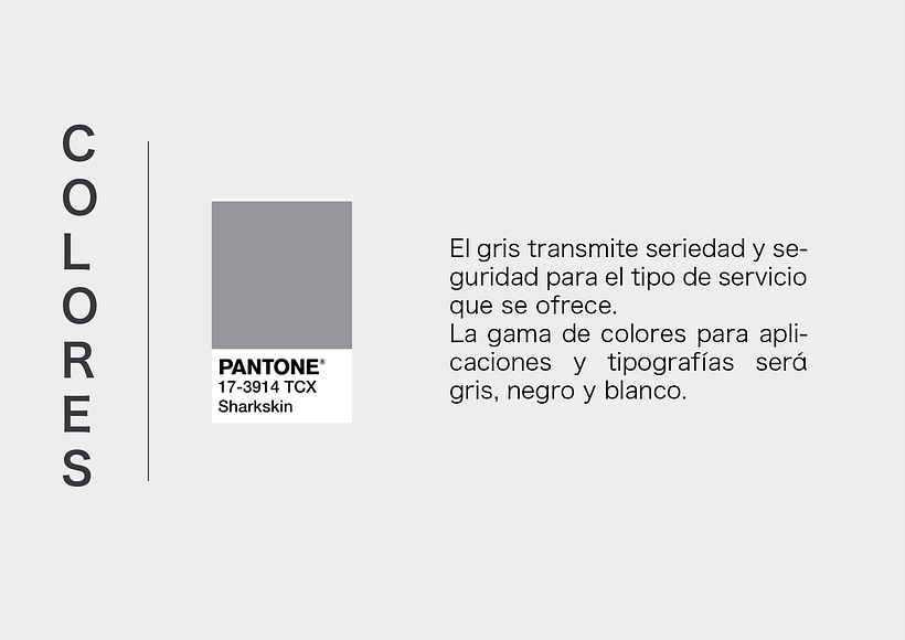 Mi Proyecto del curso: Tipografía y Branding: Diseño de un logotipo icónico: FLYONA 4