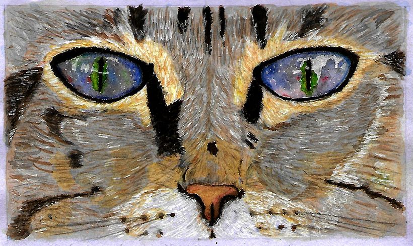 "observando el cielo" 0
