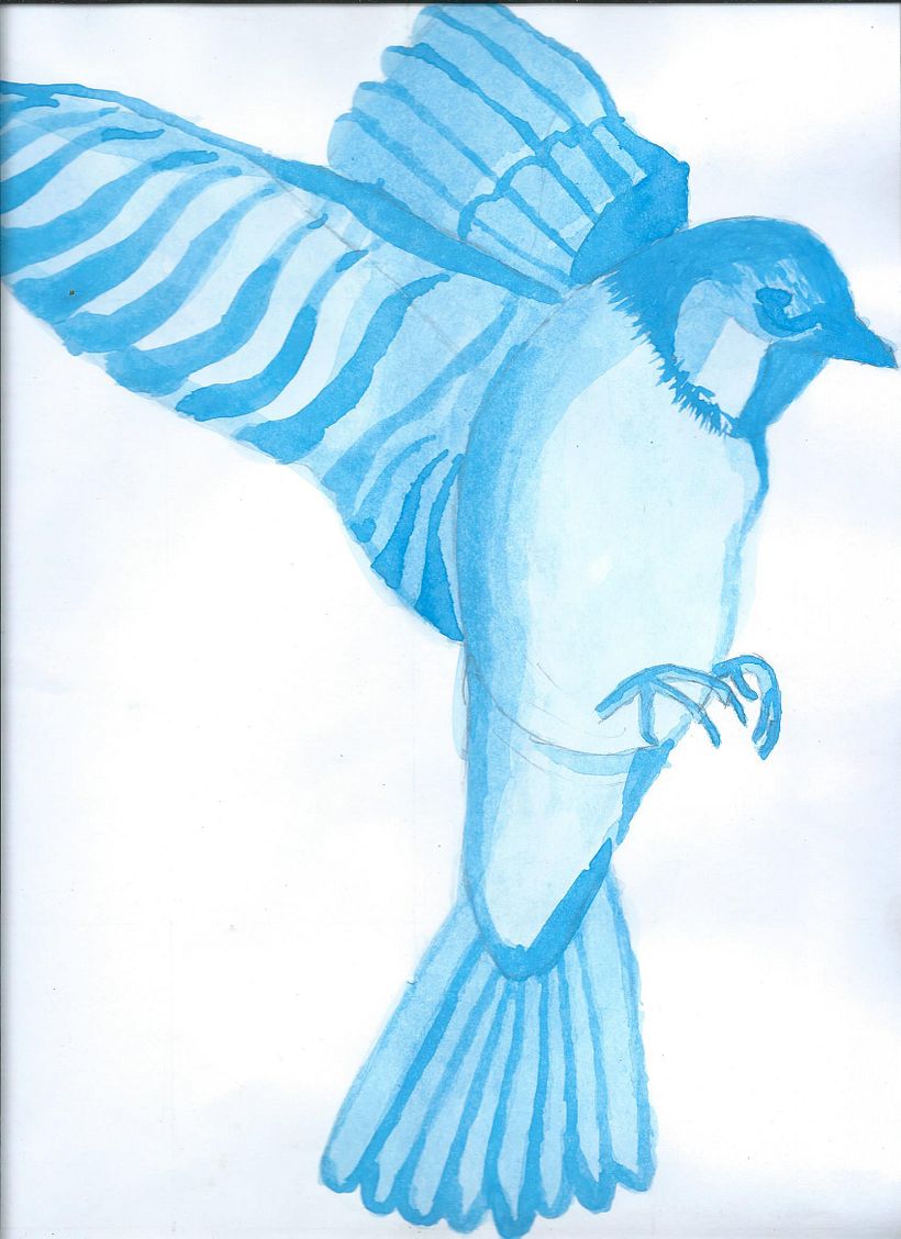 Técnicas experimentales de acuarela: animalario ilustrado 0