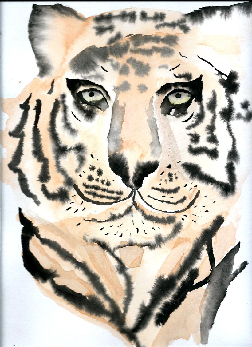 Técnicas experimentales de acuarela: animalario ilustrado 3