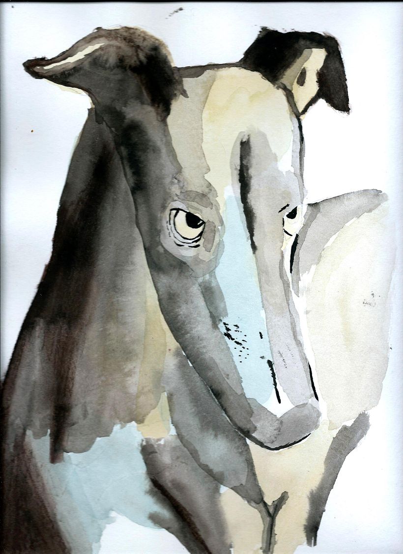 Técnicas experimentales de acuarela: animalario ilustrado 4