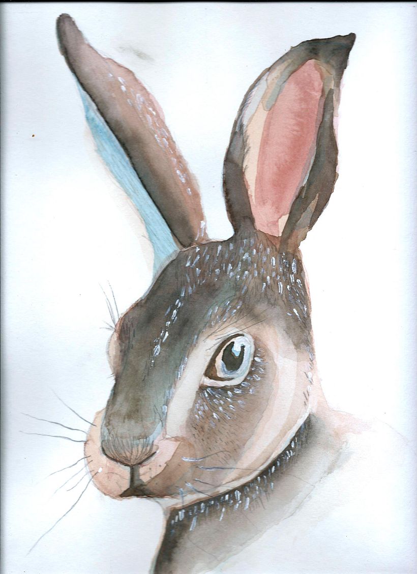 Técnicas experimentales de acuarela: animalario ilustrado 7