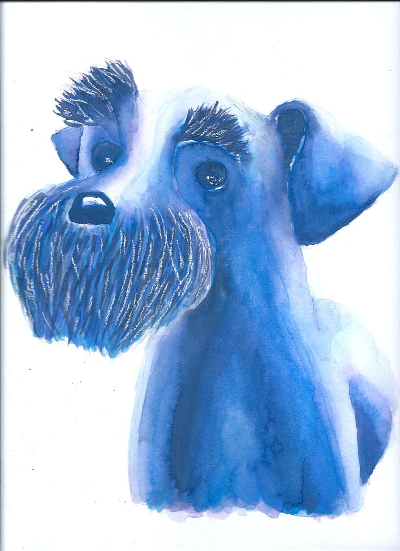 Técnicas experimentales de acuarela: animalario ilustrado 8