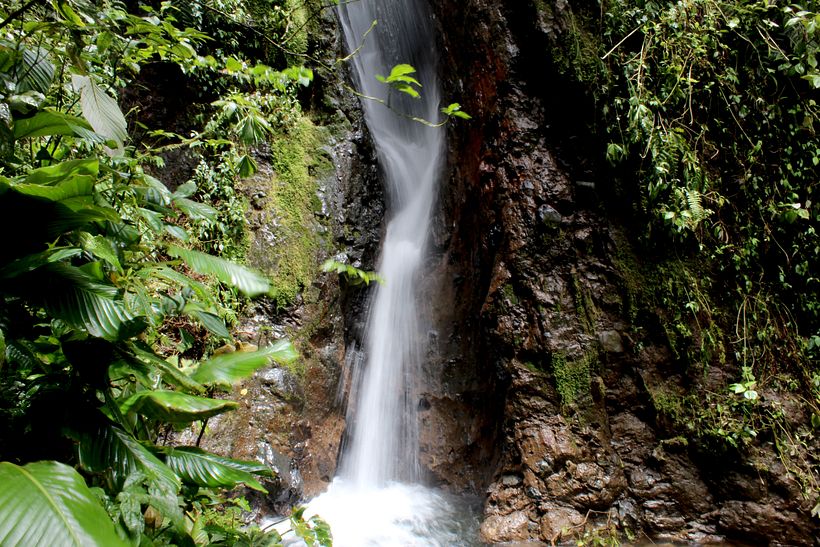 Pura Vida!! 4