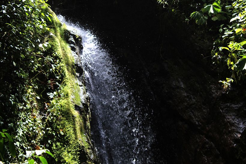 Pura Vida!! 5