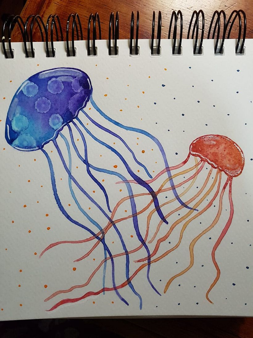 Darle forma a los experimentos: Medusas