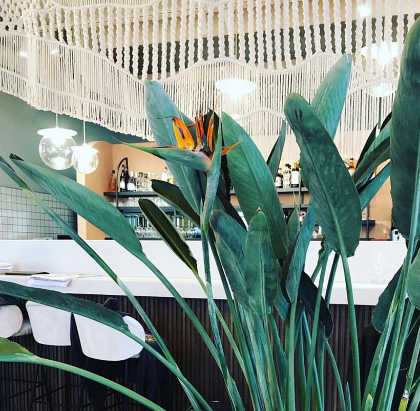 Restaurante Blanco knokke (Bélgica): Peça em Macramé e Tela Bordada -1
