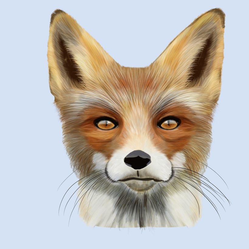 Mi Proyecto del curso: Ilustración naturalista de animales con Procreate 0