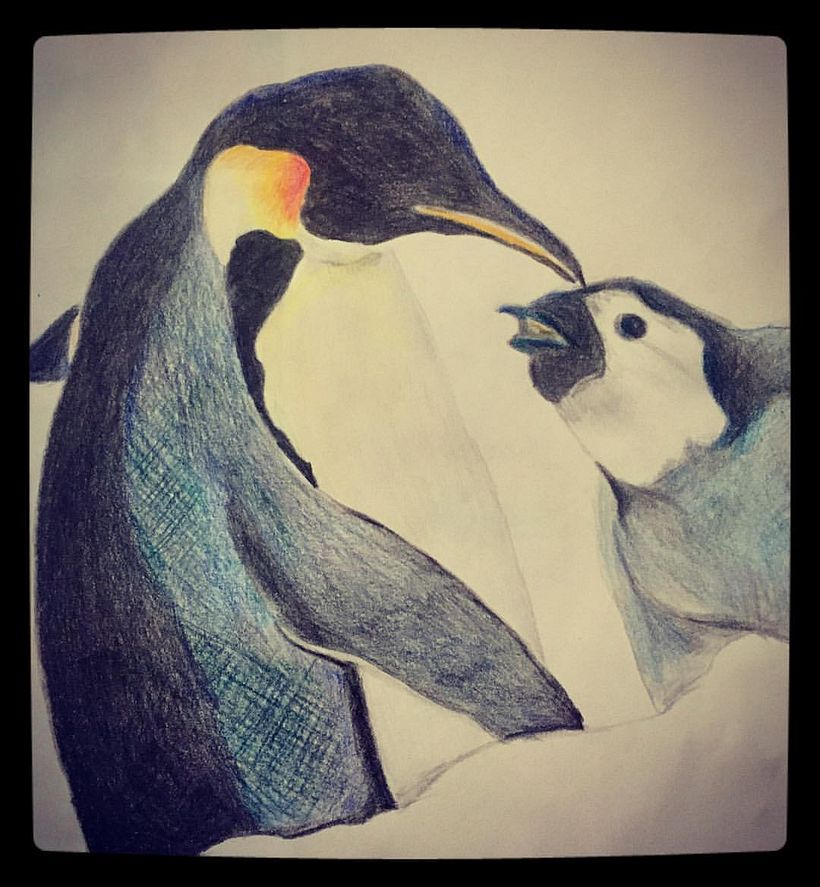 PINGUINOS