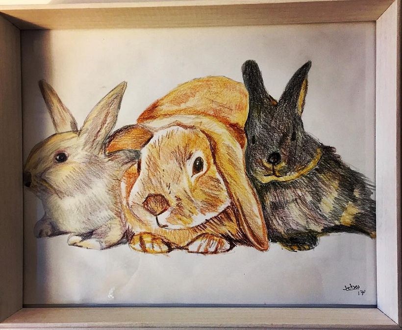 CONEJOS