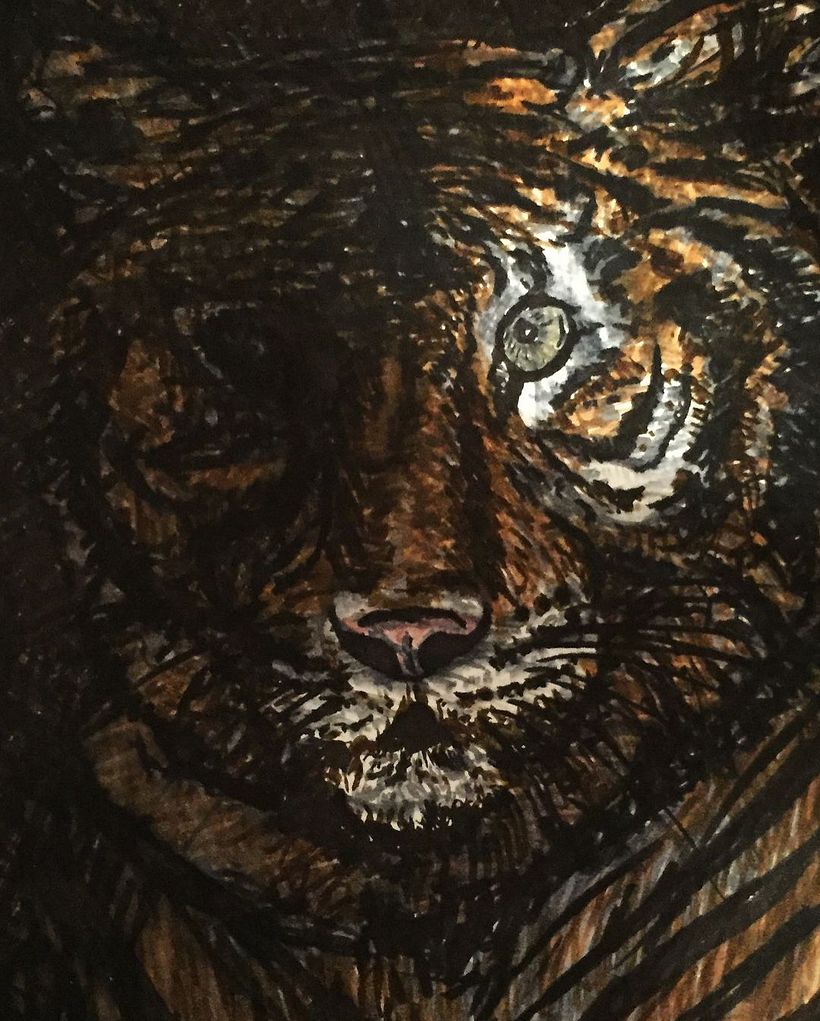 TIGRE NOCHE