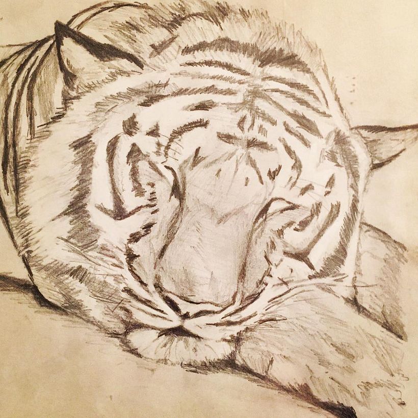 TIGRE