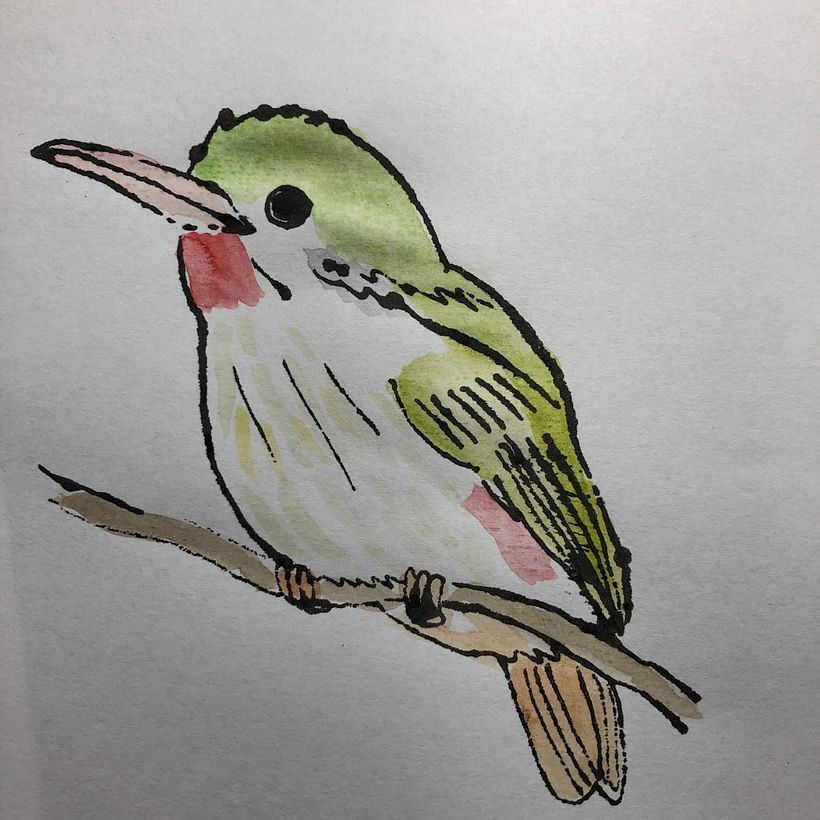 Meu projeto do curso: De principiante a superdesenhista 1