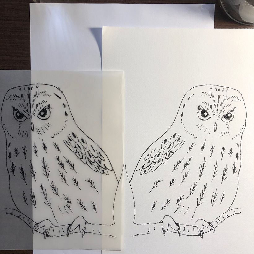 Meu projeto do curso: De principiante a superdesenhista 2