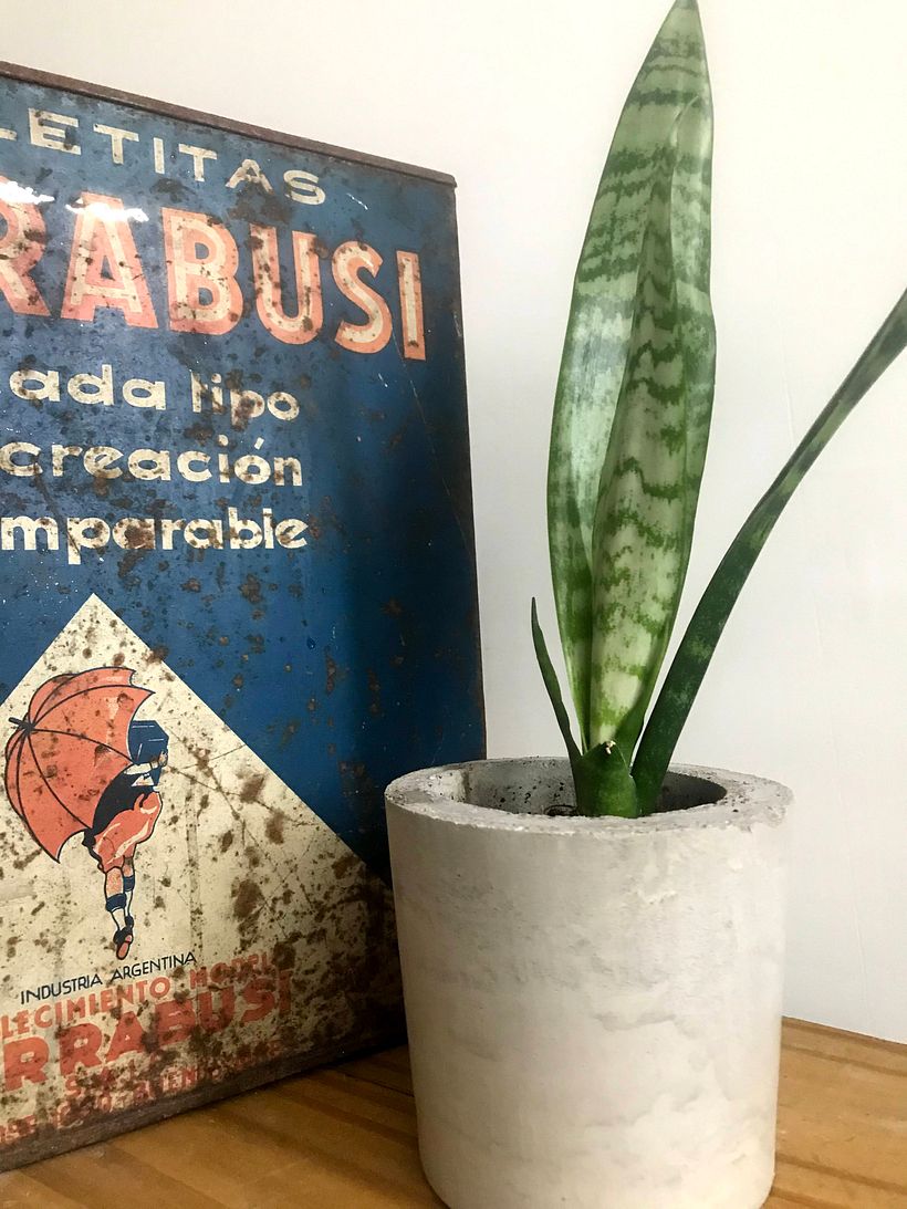 Mi Proyecto del curso: Creación de muebles en concreto para principiantes 1