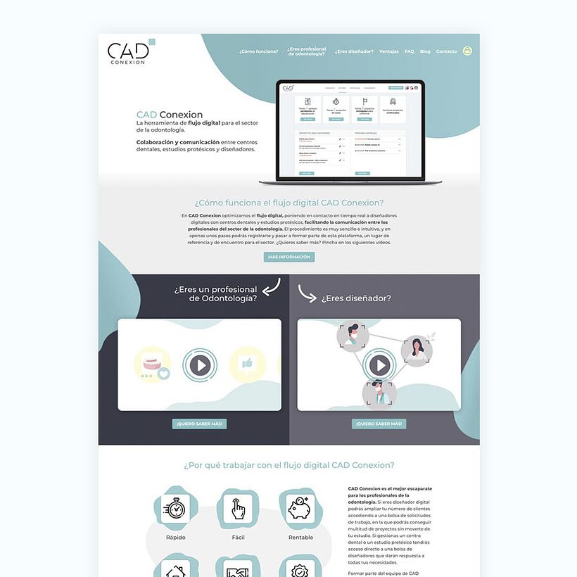 Diseño Web: Cad Conexion 1