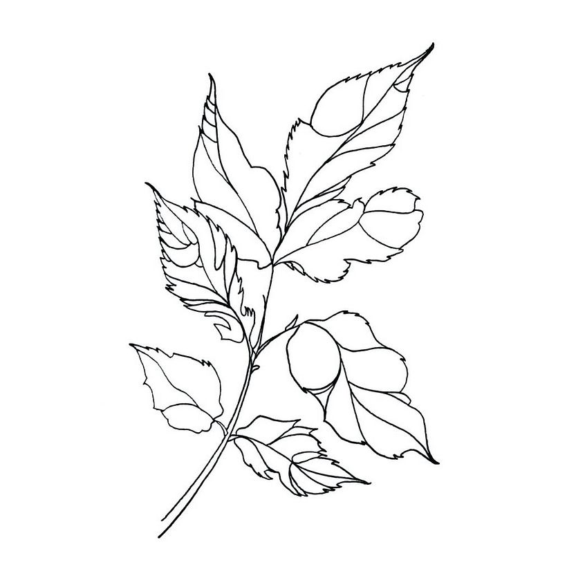 Autumn Leaf