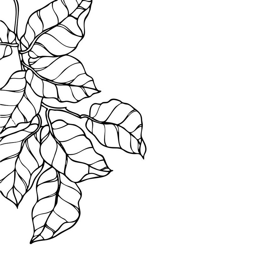 Lemon Leaves