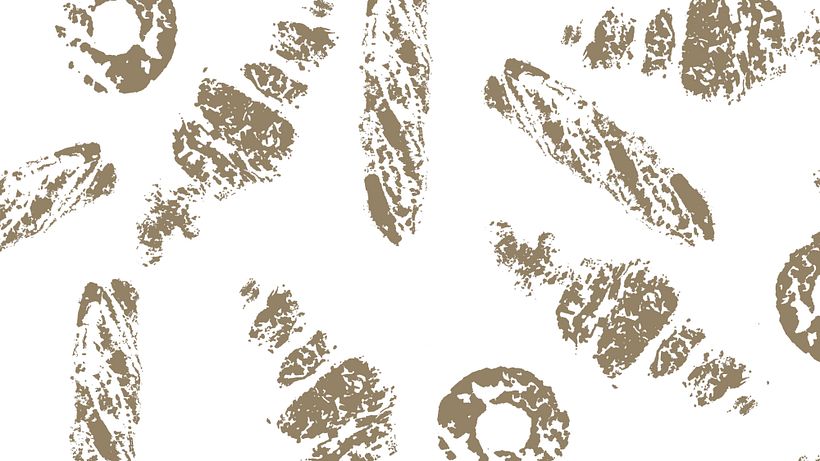 PANPARTOUT - Identity manual 21