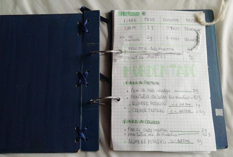 Mi Proyecto del curso: Teñido textil con pigmentos naturales 1