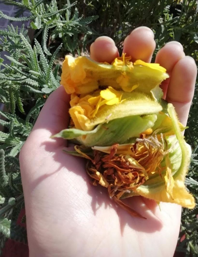 Mi Proyecto del curso: Teñido textil con pigmentos naturales 2