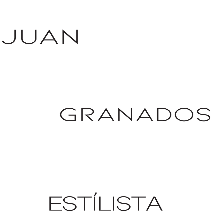 Deconstrucción de logo para redes 4
