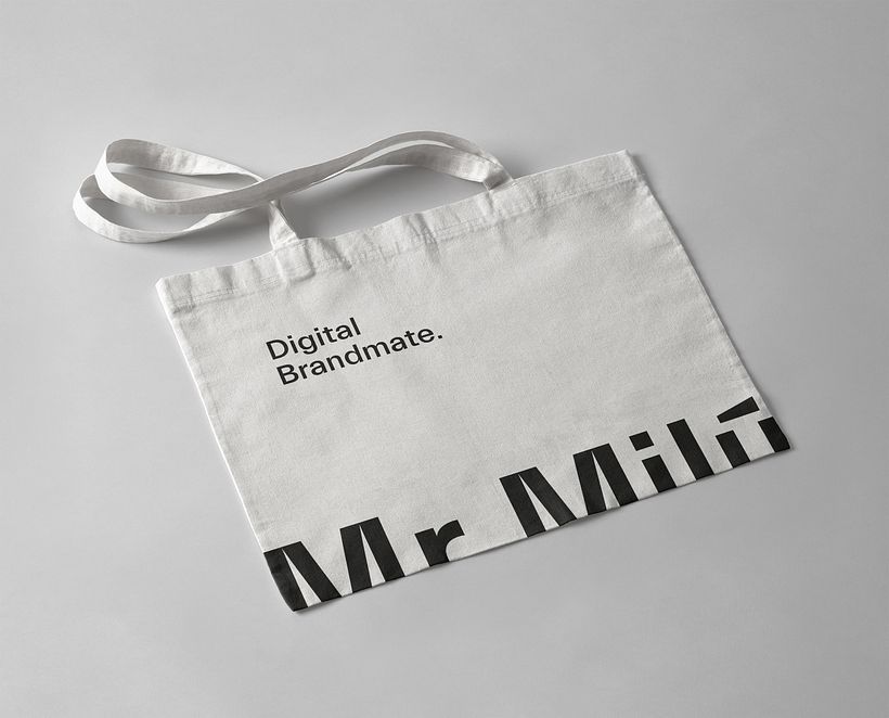 Mr. Milú 4