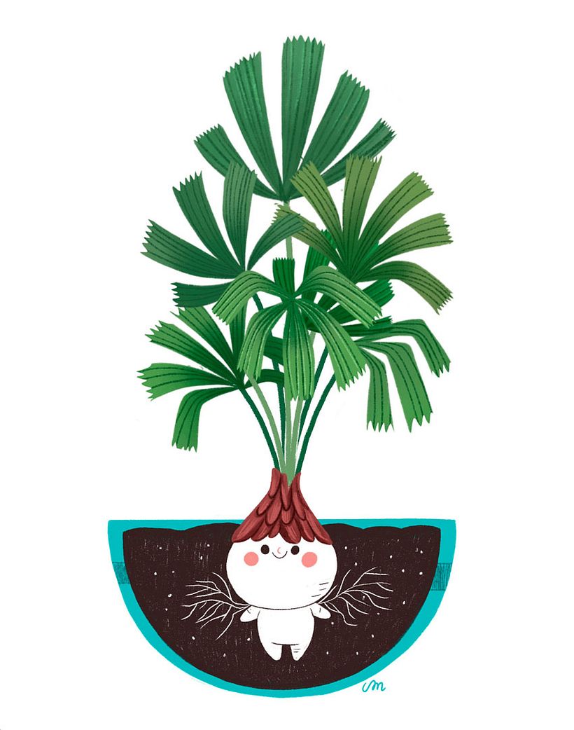 Plantitas - Ilustración digital