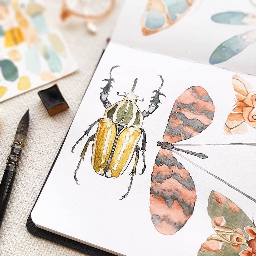 Insecta - estudo em aquarela (2019) 1