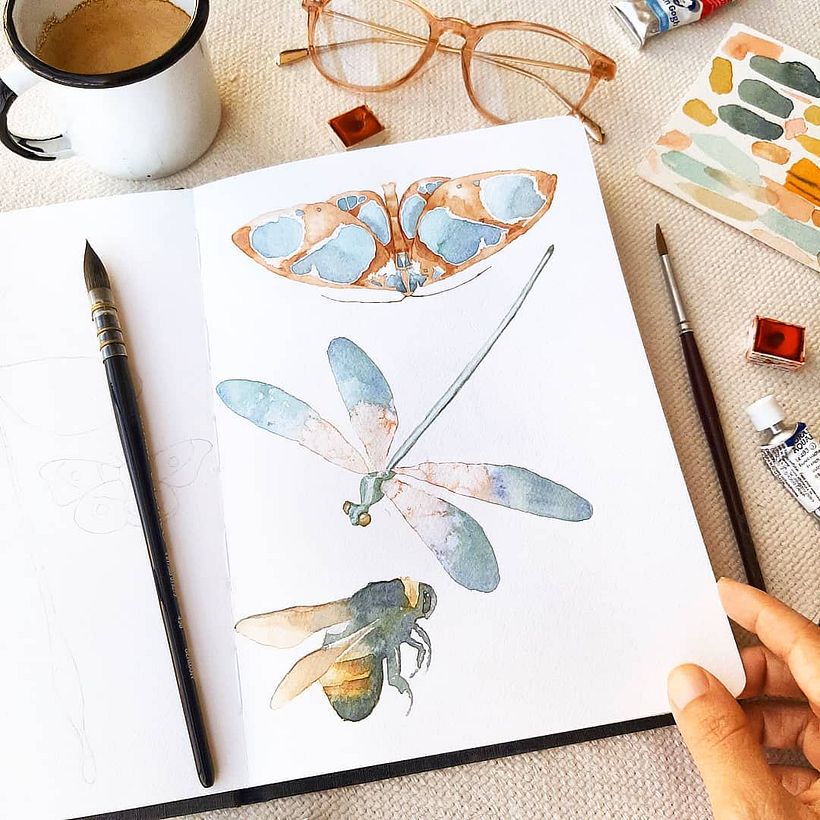 Insecta - estudo em aquarela (2019) 2