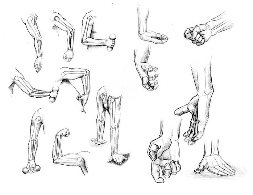 Éstas son algunas referencias tomadas de un libro de anatomía para artistas, poses sumamente complejas