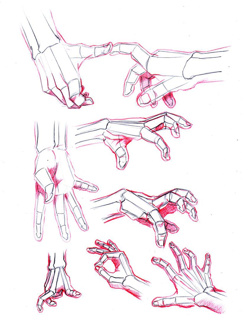 Recopilación de anatomía humana Jacobo 13