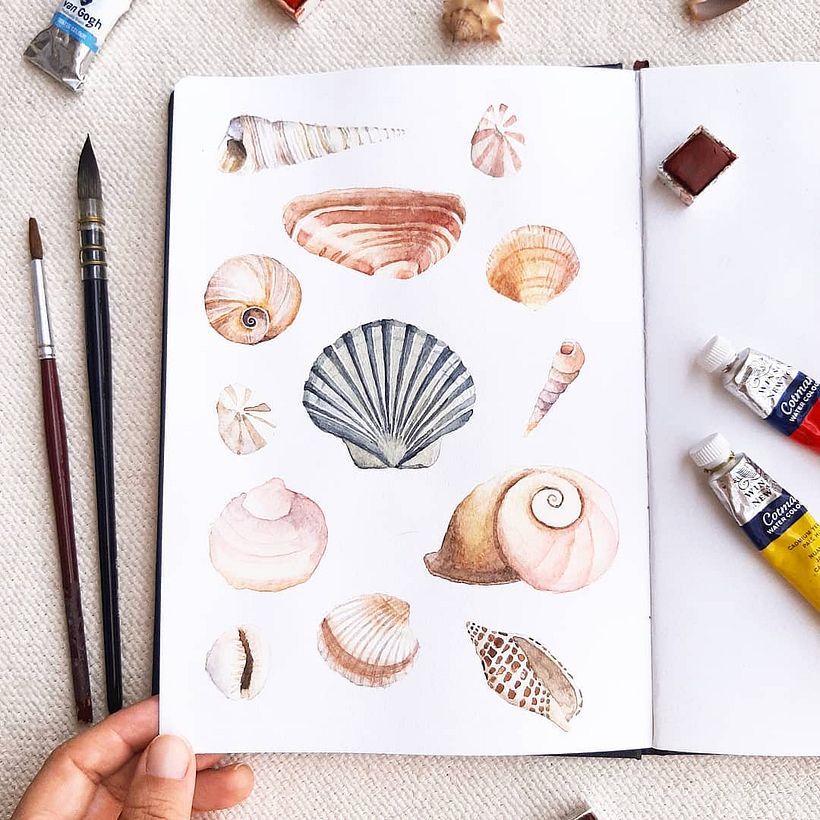 Conchas - estudo em aquarela (2020) 0