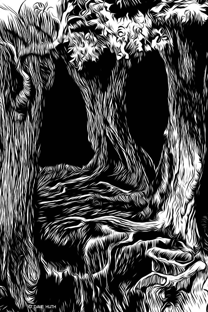 Visual Autobiographical Story 3