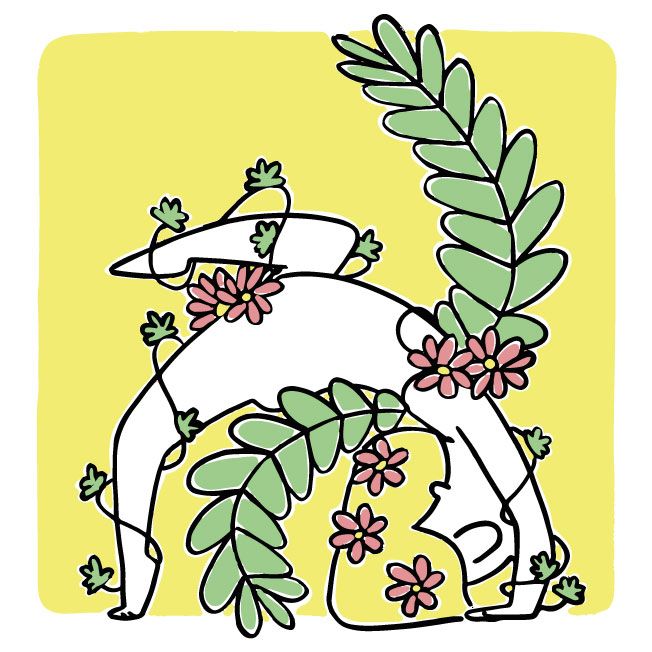 YOGA SERIES - Ilustrație tradițională