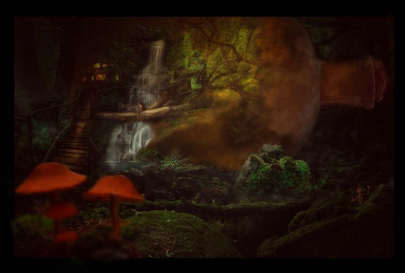 Photoshop y Procreate...