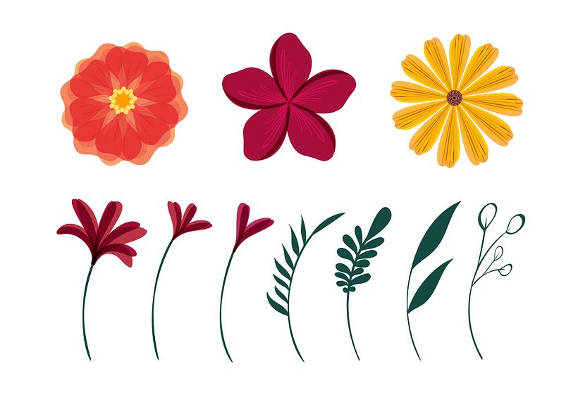 Havaianas - Dia das Mães 1