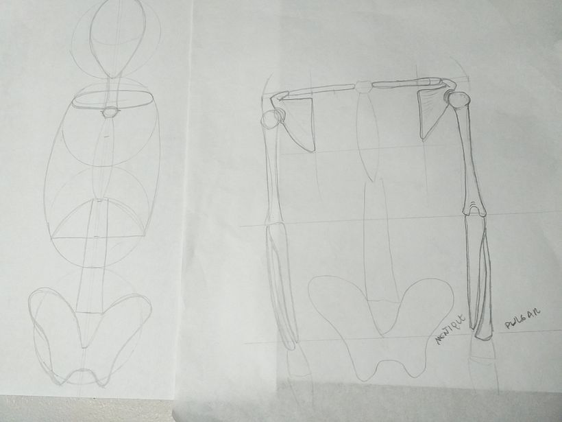 Mi Proyecto del curso: Dibujo anatómico para principiantes 6