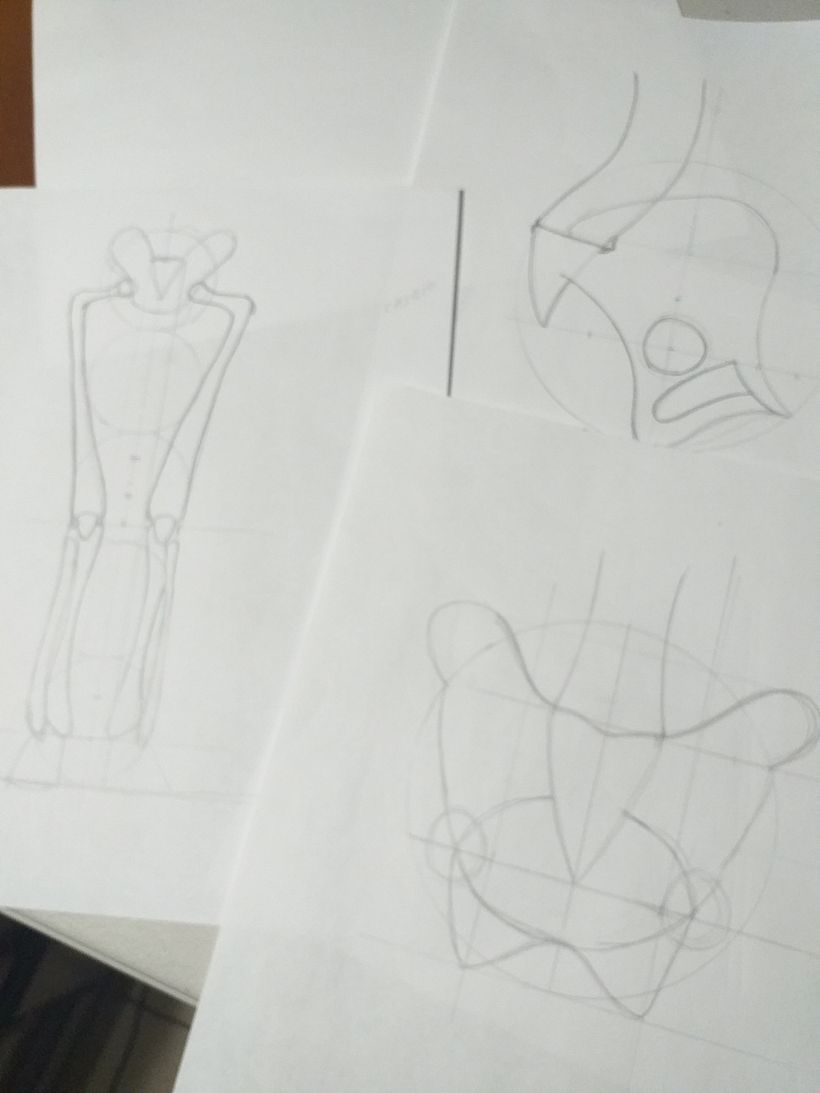 Mi Proyecto del curso: Dibujo anatómico para principiantes 8