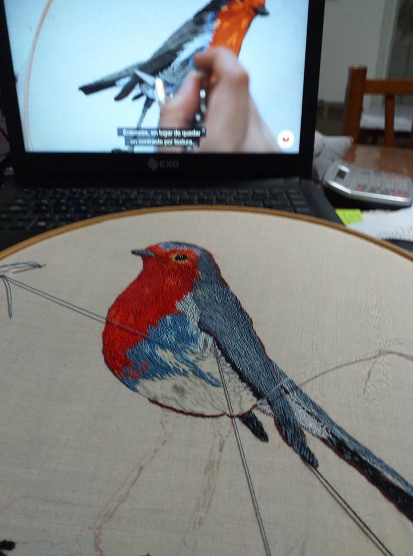 Mi Proyecto del curso: Pintar con hilo: técnicas de ilustración textil 3