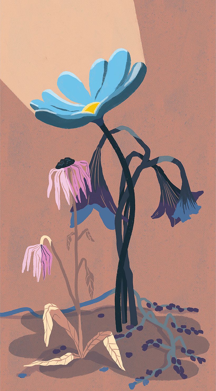 Editorial illustrations: Författaren 5