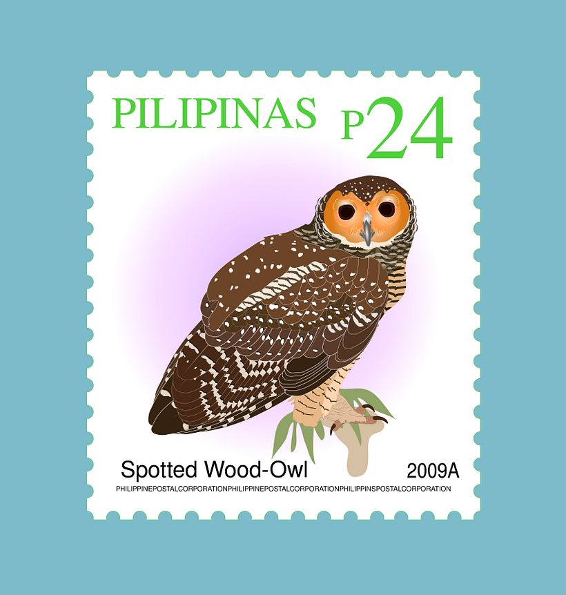 Spotted wood owl  2