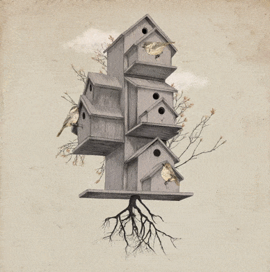 GIF animate in Photoshop